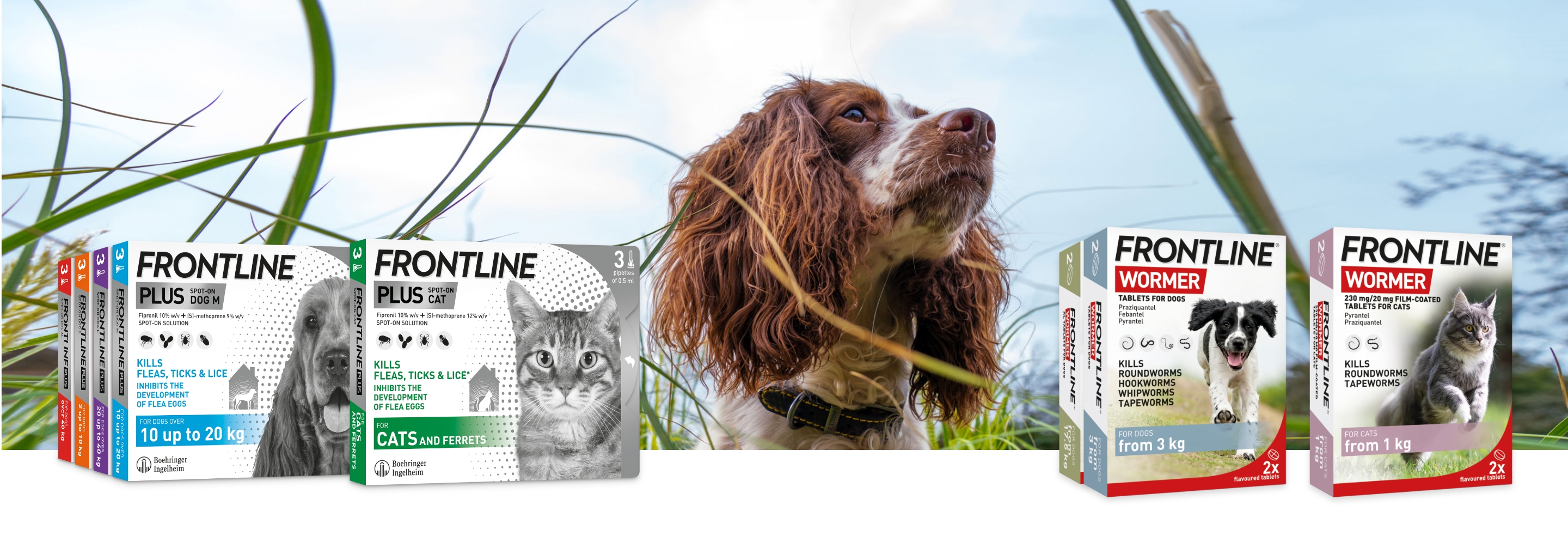 Frontline plus clearance for cats uk